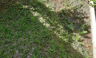 FINCA EN VENTA GIRARDOTA Y BARBOSA ANTIOQUIA COLOMBIA.
