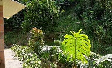 FINCA EN VENTA GIRARDOTA Y BARBOSA ANTIOQUIA COLOMBIA.