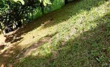 FINCA EN VENTA GIRARDOTA Y BARBOSA ANTIOQUIA COLOMBIA.