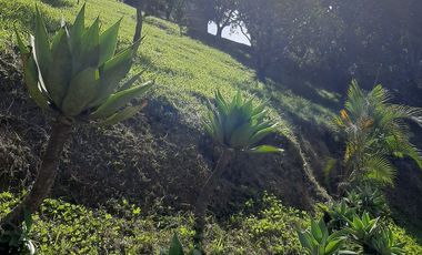 FINCA EN VENTA GIRARDOTA Y BARBOSA ANTIOQUIA COLOMBIA.