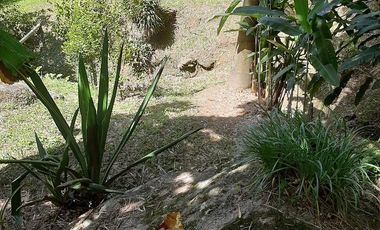 FINCA EN VENTA GIRARDOTA Y BARBOSA ANTIOQUIA COLOMBIA.