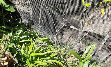 FINCA EN VENTA GIRARDOTA Y BARBOSA ANTIOQUIA COLOMBIA.
