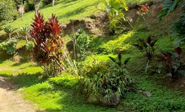 FINCA EN VENTA GIRARDOTA Y BARBOSA ANTIOQUIA COLOMBIA.