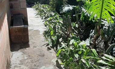 FINCA EN VENTA GIRARDOTA Y BARBOSA ANTIOQUIA COLOMBIA.