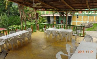 VENTA de FINCAS en VIOTA