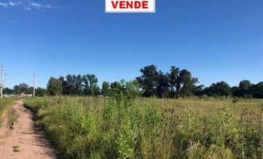CINCO LOTES EN VENTA Bº SAN CARLOS REF.AR57 GRAL RODRIGUEZ PICCARDO.