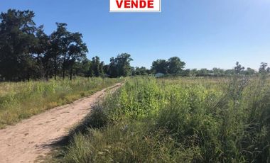 CINCO LOTES EN VENTA Bº SAN CARLOS REF.AR57 GRAL RODRIGUEZ PICCARDO.
