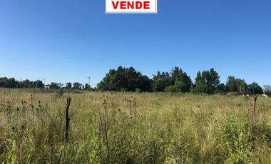 CINCO LOTES EN VENTA Bº SAN CARLOS REF.AR57 GRAL RODRIGUEZ PICCARDO.