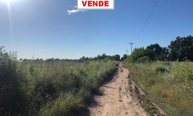 CINCO LOTES EN VENTA Bº SAN CARLOS REF.AR57 GRAL RODRIGUEZ PICCARDO.