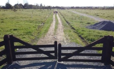 Parcela en Venta en Parcela en 3 Esquinas Camino a Nahueltoro Chillan