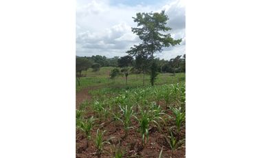 Se Vende hermoso Terreno en la Chorrera, Santa Rita