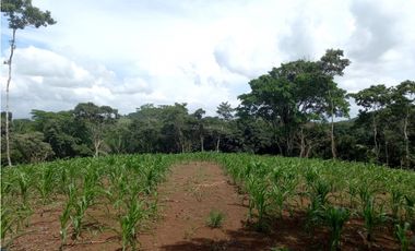 Se Vende hermoso Terreno en la Chorrera, Santa Rita