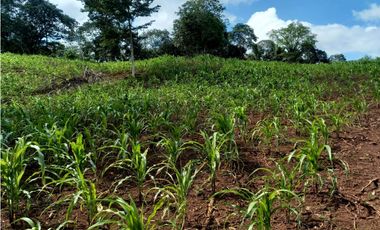 Se Vende hermoso Terreno en la Chorrera, Santa Rita
