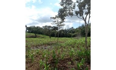 Se Vende hermoso Terreno en la Chorrera, Santa Rita