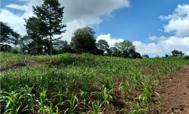 Se Vende hermoso Terreno en la Chorrera, Santa Rita