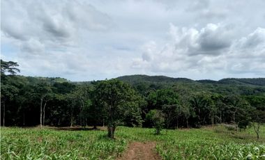 Se Vende hermoso Terreno en la Chorrera, Santa Rita