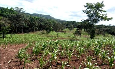 Se Vende hermoso Terreno en la Chorrera, Santa Rita