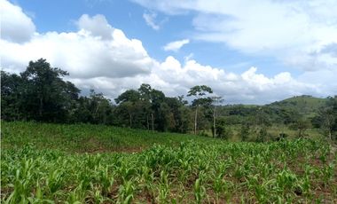 Se Vende hermoso Terreno en la Chorrera, Santa Rita