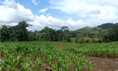 Se Vende hermoso Terreno en la Chorrera, Santa Rita