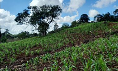 Se Vende hermoso Terreno en la Chorrera, Santa Rita