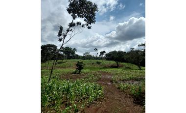 Se Vende hermoso Terreno en la Chorrera, Santa Rita