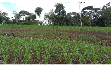 Se Vende hermoso Terreno en la Chorrera, Santa Rita