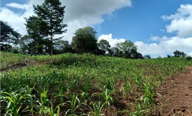 Se Vende hermoso Terreno en la Chorrera, Santa Rita