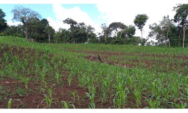 Se Vende hermoso Terreno en la Chorrera, Santa Rita