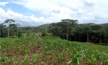 Se Vende hermoso Terreno en la Chorrera, Santa Rita