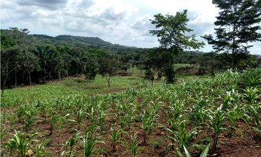 Se Vende hermoso Terreno en la Chorrera, Santa Rita