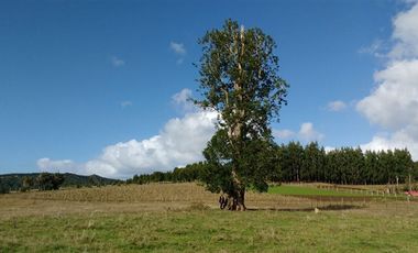 Parcela en Venta en R8GX+X5F