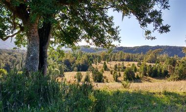 Parcela en Venta en R8GX+X5F