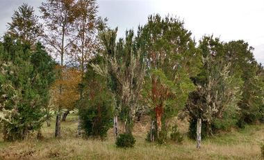 Parcela en Venta en R8GX+X5F