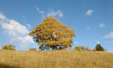 Parcela en Venta en R8GX+X5F