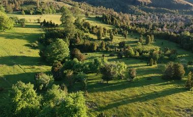 Parcela en Venta en R8GX+X5F