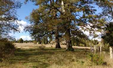 Parcela en Venta en R8GX+X5F