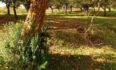 Parcela en Venta en R8GX+X5F