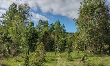 Parcela en Venta en R8GX+X5F