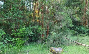 Parcela en Venta en R8GX+X5F