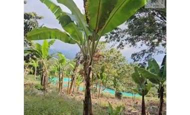 ref 878a la ventura / 4500 m2 /la cumbre valle