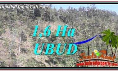 Tanah Murah di Bali 160 are di Ubud Tegalalang