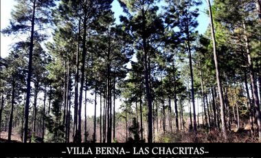 VILLA BERNA- Magnífico Lote con bosque -14.574 m2