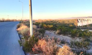 Terreno Industrial en venta en Residencial Rancho Alegre, Torreón