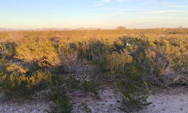 Terreno Industrial en venta en Residencial Rancho Alegre, Torreón
