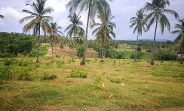 91 hectares Land for Sale at Lapad Laguindingan Misamis Oriental