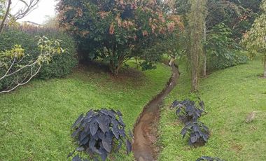 apartaestudio en arriendo en la ceja. Cod A61151