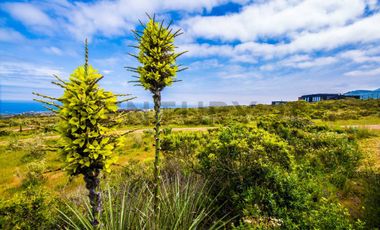 CASA MODELO CHAGUAL, CONDOMINIO PRIVADO, 2DORM.