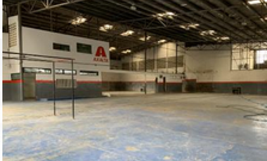 ALQUILER DE GALERA EN TRANSISTMICA