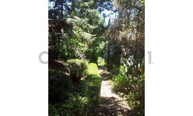 Se vende Parcela, casa en Laguna Aculeo Amoblada