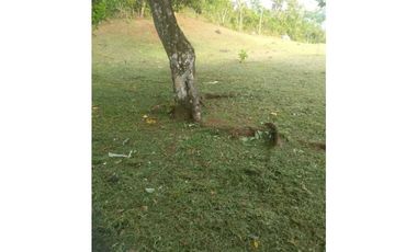 Se Vende Lote de 1000m2 en Nuevo Emperador